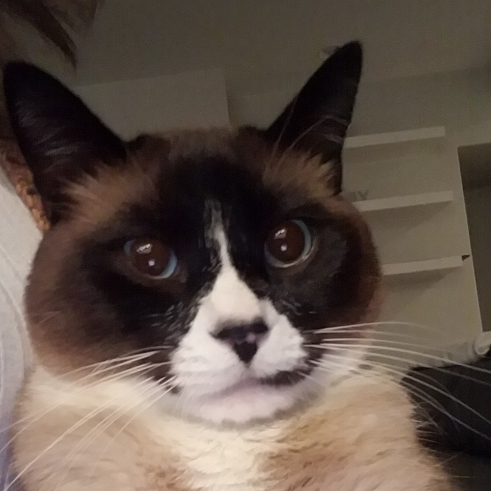 Meet your Posher, Oksana